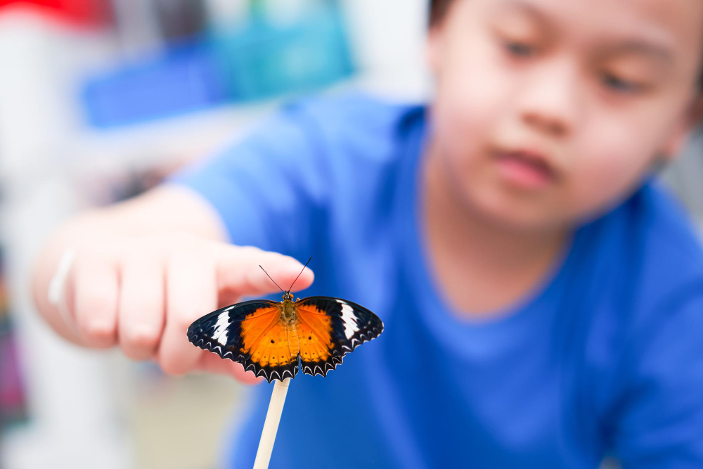 child butterfly capture reach heart