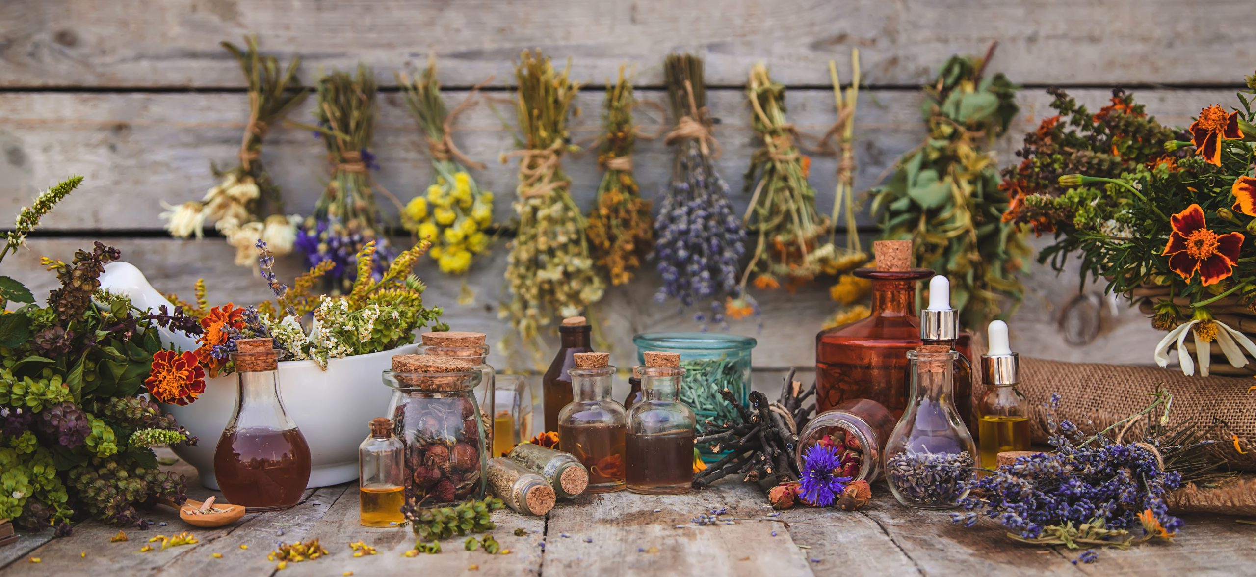 medicinal herbs tinctures homeopathy selective focus scaled